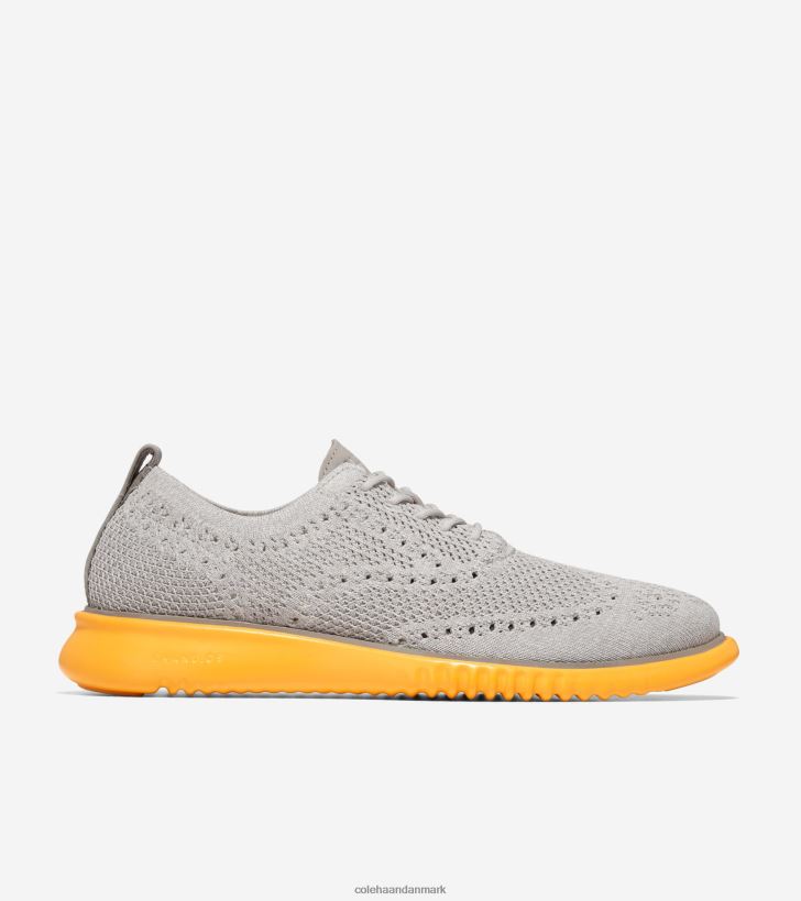 Cole Haan 2.zerogrand oxford sølv birk-paloma-guld fusion stitchlite PPZZ2D274 Mænd fodtøj