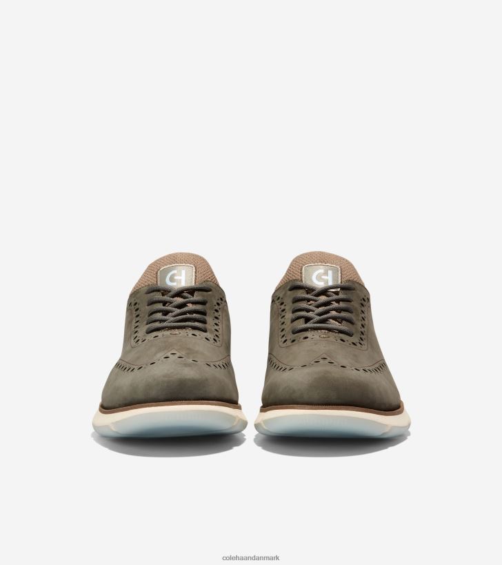 Cole Haan 4.zerogrand vingespids oxford teblad-klit-oxford blå PPZZ2D368 Mænd fodtøj