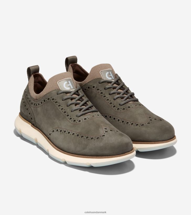 Cole Haan 4.zerogrand vingespids oxford teblad-klit-oxford blå PPZZ2D368 Mænd fodtøj